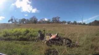 Dayboro Boy's At Elgin Vale