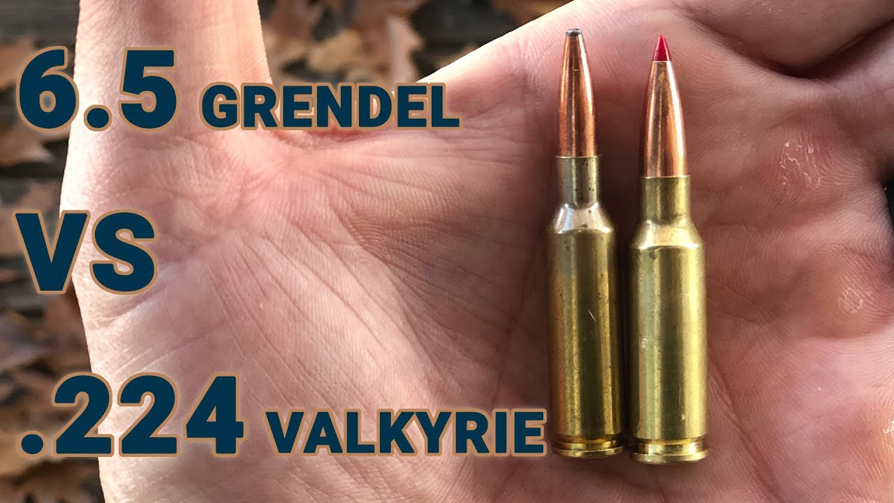 Ammo showdown: 6.5 Grendel vs .224 Valkyrie - YouTube.