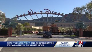 Inflation affects Disney's U.S. theme parks; Streaming services driving profit growth