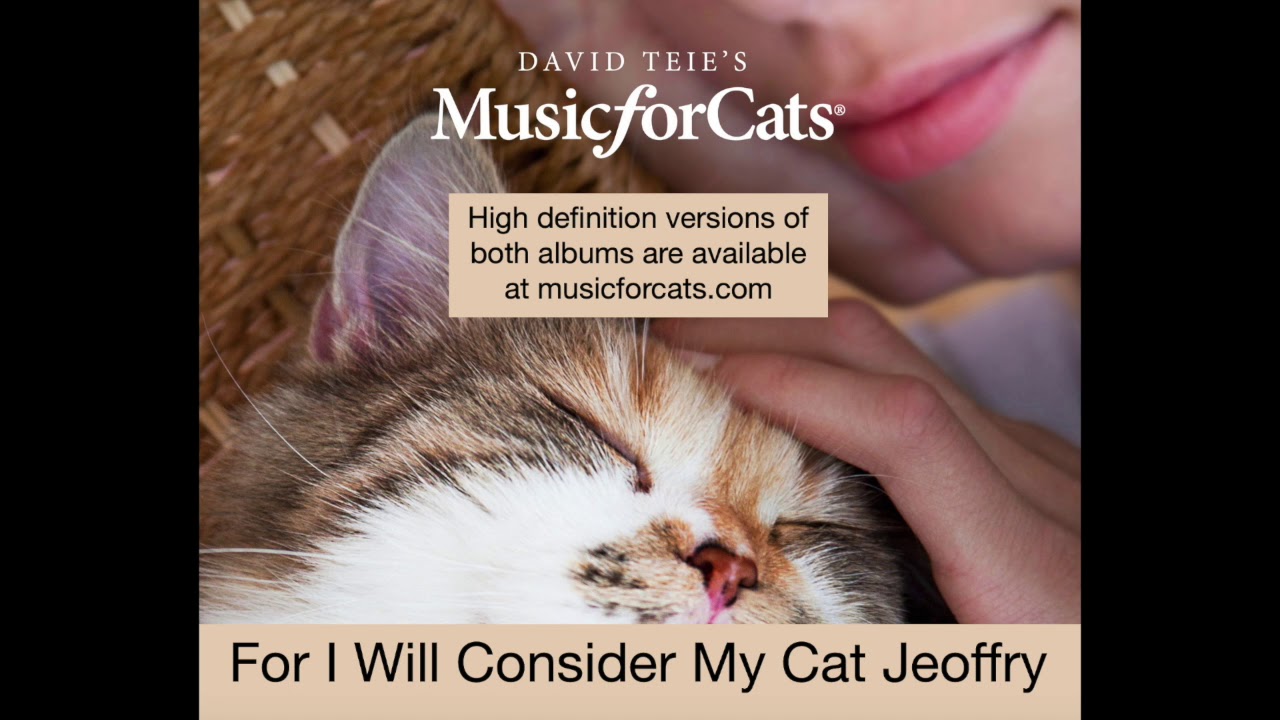 For I Will Consider My Cat Jeoffry Youtube