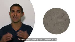 Full Optimizing Breeding with Dr. Emmanuel Fontaine – Video #2 News