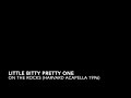 On the Rocks (Harvard Acapella) - Little Bitty Pretty One