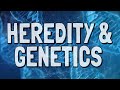 Understanding Heredity and Genetics