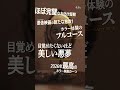 『Never After Dark／ネバーアフターダーク』【15秒縦型】6月5日(金)公開