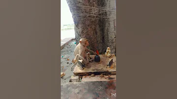 Ram Ram 