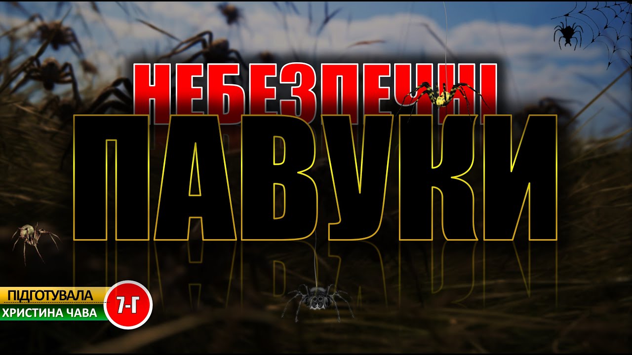 Різдвяні павуки