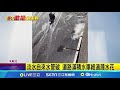 犬隻攻擊事件