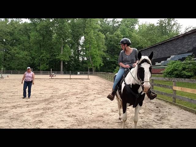 Megan/Shadow May 2015 April Smith clinic