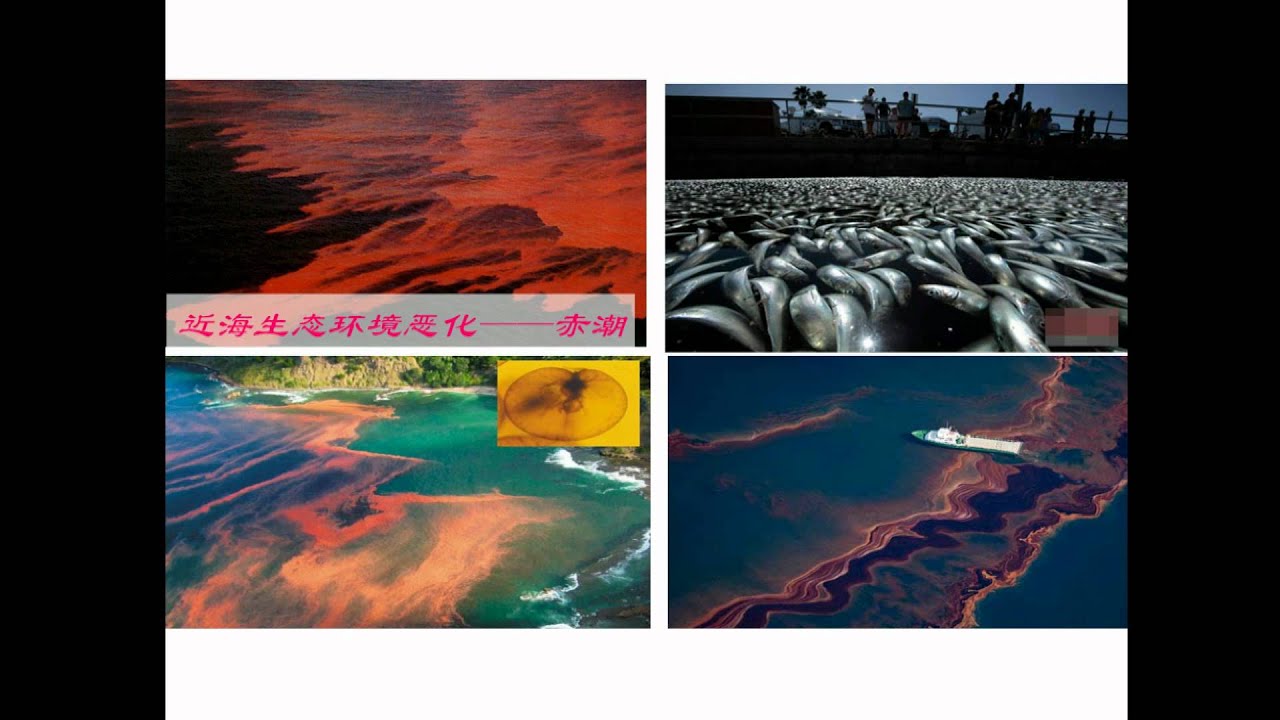 ODMP introduction V2.avi