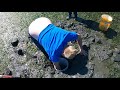 Digging Geoduck Clams In Port Townsend Bay Washington State