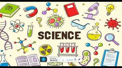 what kinds of skills do scientists use? session 2 gr2