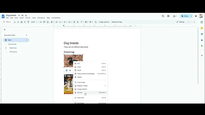 Alt text in Google Docs and Slides
