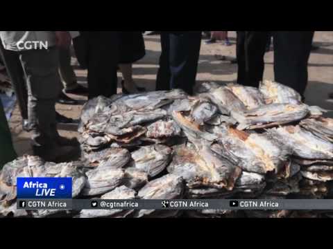 Video: Bør US Fish & Wildlife Service Selge Konfiskerte Varer? Matador Network