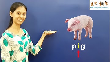 Middle sounds(Phonics) : Words with a, e, i, o, u