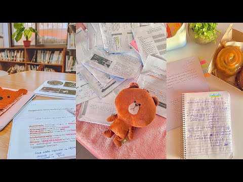 ملخص شهر نوفبر في ٧ ثواني شهر الامتحانات والمعامل