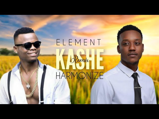 Harmonize - Kashe Remix Ft Element Eleeh (jonart_lyrics_video) class=