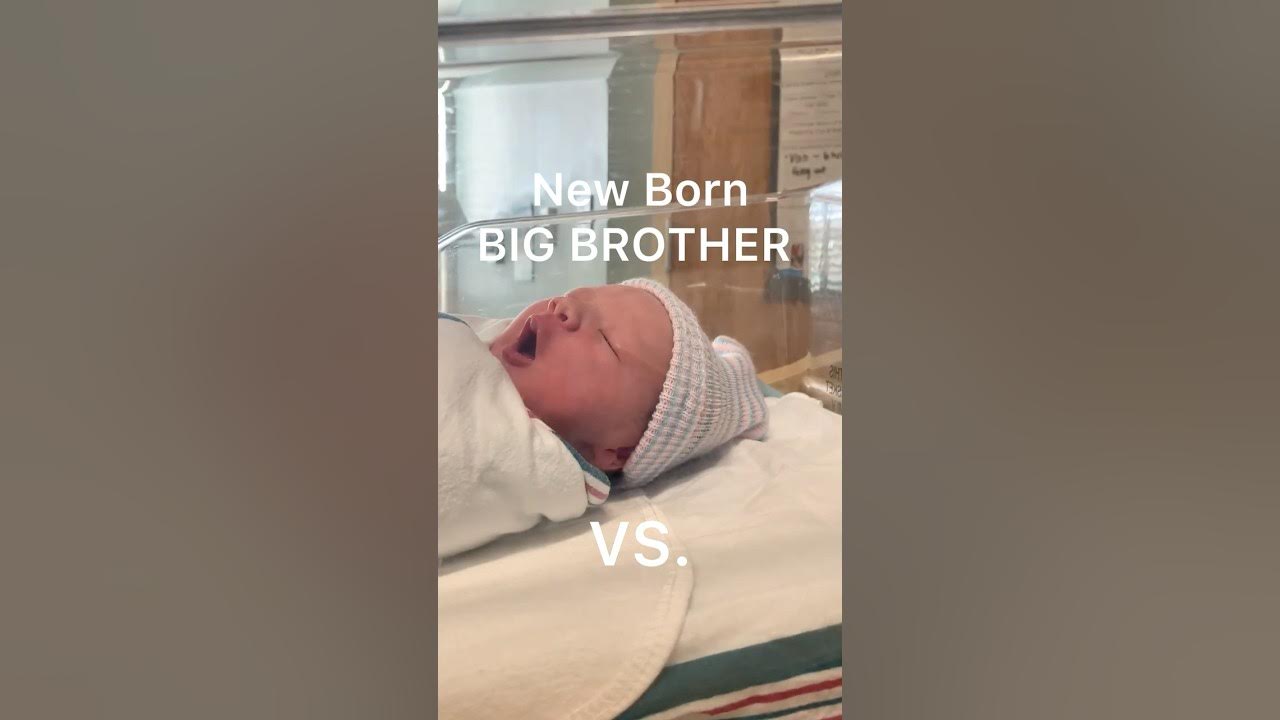 Big Brother Vs Big Sister Scan Vf Newborn BIG BROTHER vs. BABY SISTER - YouTube