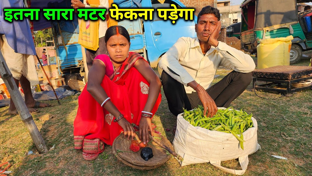इतना सारा मटर बाजार में लाके फेकना पड़ेगा | देहाती ताजा मटर | Village Traditional Pea