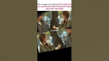 Câu chuyện hoa hồng: Chiến thần tình yêu trong sáng. Không thể mắng Lâm Canh Tân được! #林更新 #刘亦菲