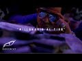 El Alfa El Jefe Ft. La Manta - MILLONARIO AL TIRO (Video Official)