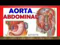 ✅ Anatomía de La AORTA ABDOMINAL. Fácil Explicación!