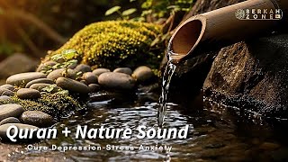 Soothing Quran Recitation + Calming Nature Sounds 🌟 Deep Reflection, Relieve Stress & Anxiety screenshot 2