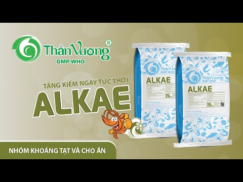 Video ALKAE Khoáng Tăng Kiềm Cho Ao Tôm - Hành trình nuôi... - youtube