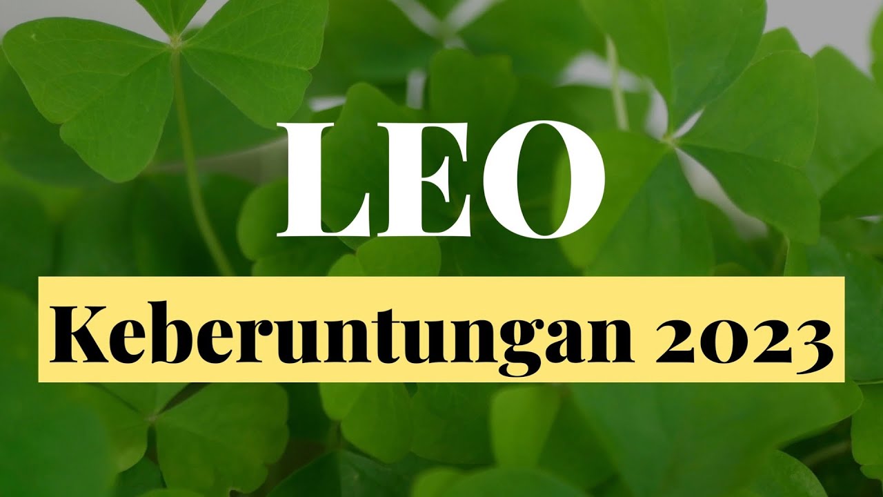 Лео 2023 отзывы. Лео / Leo, 2023. Leo 2023. Лео (2023).