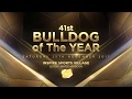 BOY UK 2017 - Bulldog of the Year