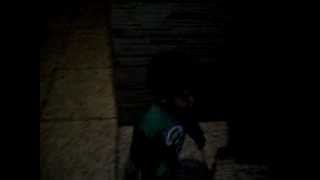 Menino Arthur De 1 Ano Dançando