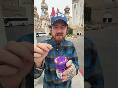 Winner takes all! 😆 #shorts