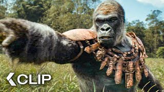 The Apes Hunt Humans! - KINGDOM OF THE PLANET OF THE APES Extended Clip & Trailer (2024)