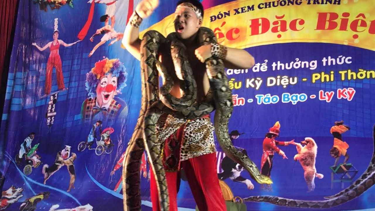 Xiếc Trăn hay nhất 2020 !