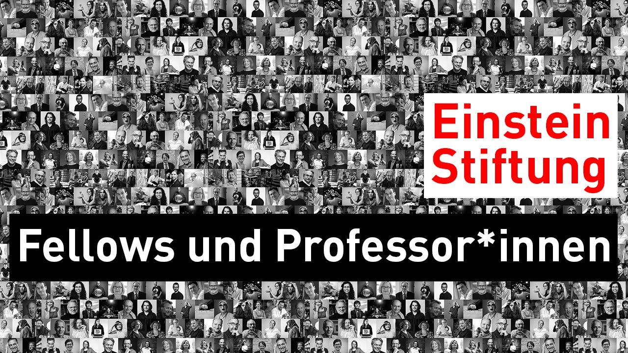 Fellows und Professoren der Einstein Stiftung Berlin