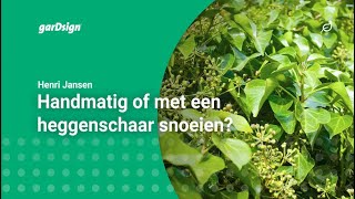 Hedera Handmatig Of Met Een Heggenschaar Snoeien Klimop