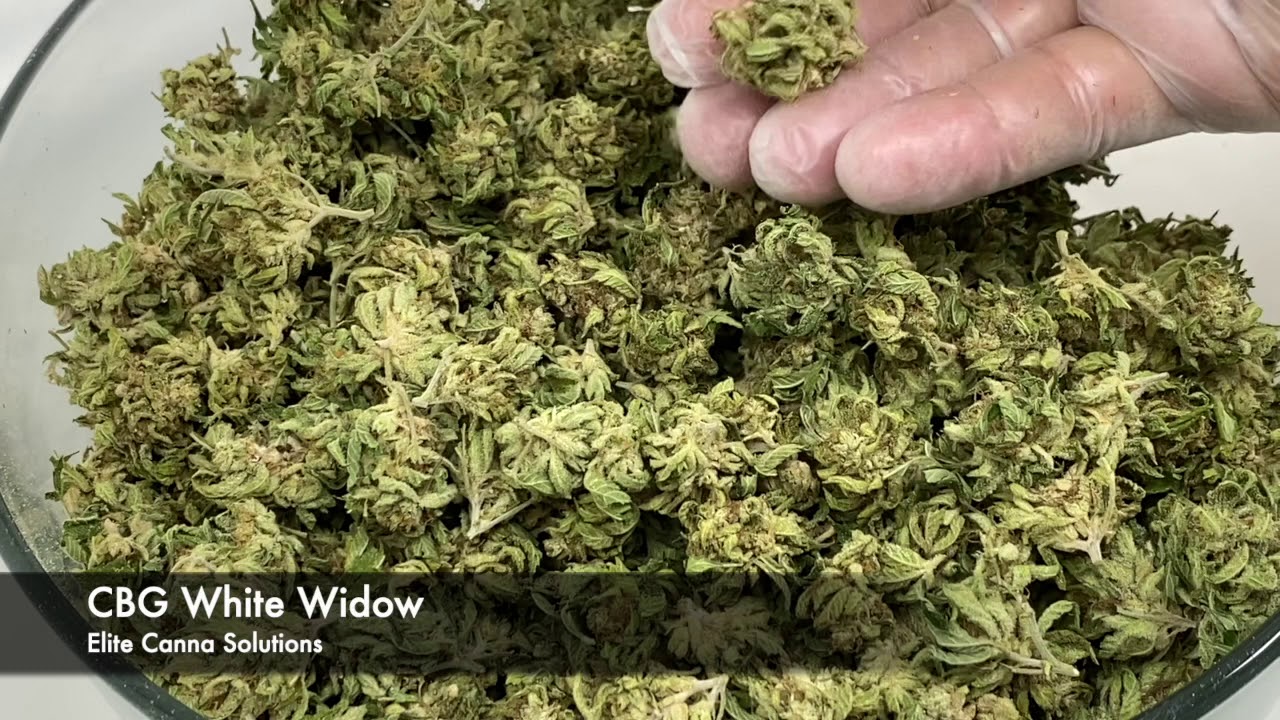 CBG White Widow - Elite Canna Solutions