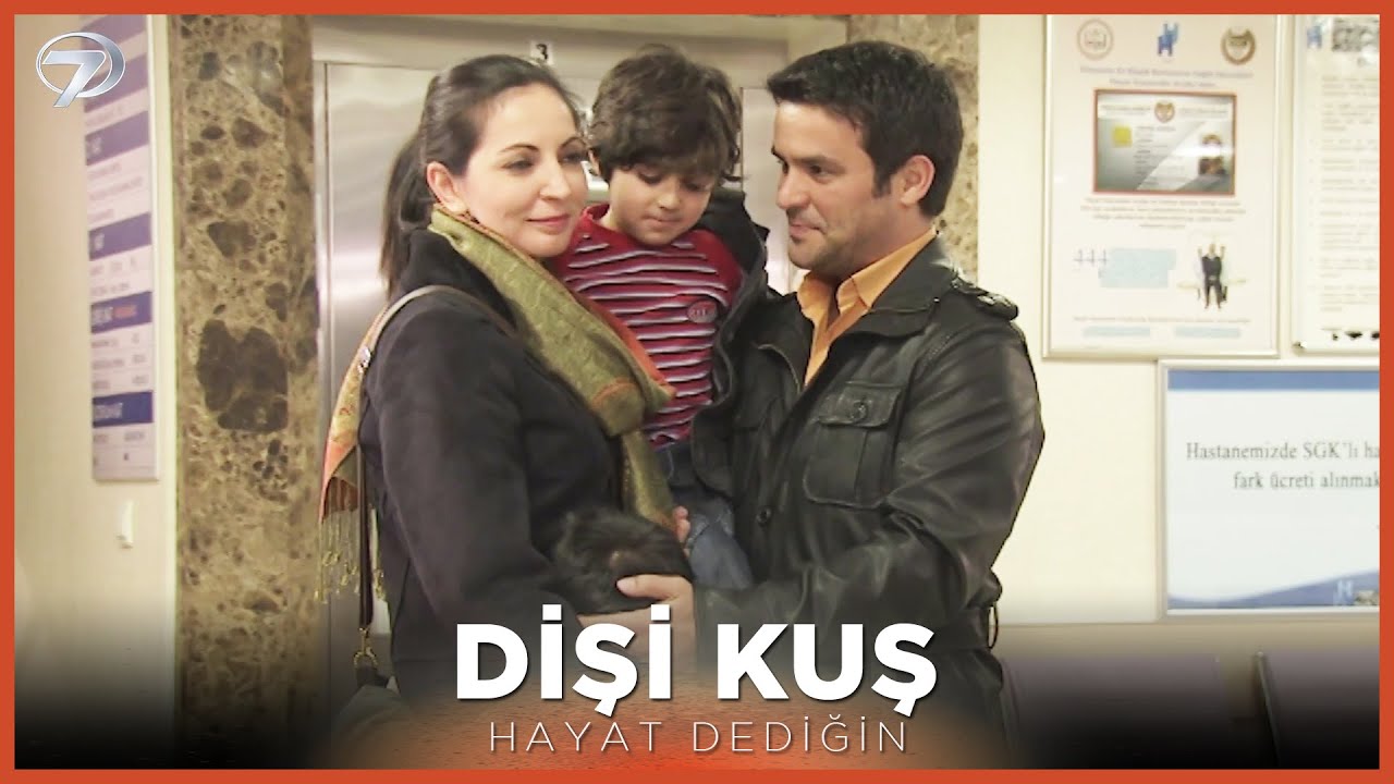 Dişi Kuş - Hayat Dediğin