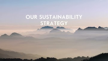 Our sustainability strategy