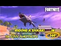 Fortnite Riding A SHARK 360° SUPER SLOW MOTION - Season 3 Gameplay in 360 VR