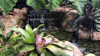 Pond Construction Services in Miami, FL | Basal Construction
