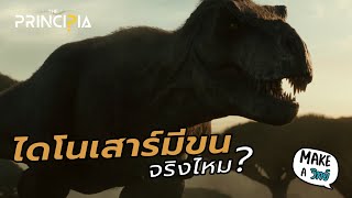 ไดโนเสาร์มีขนจริงไหม?