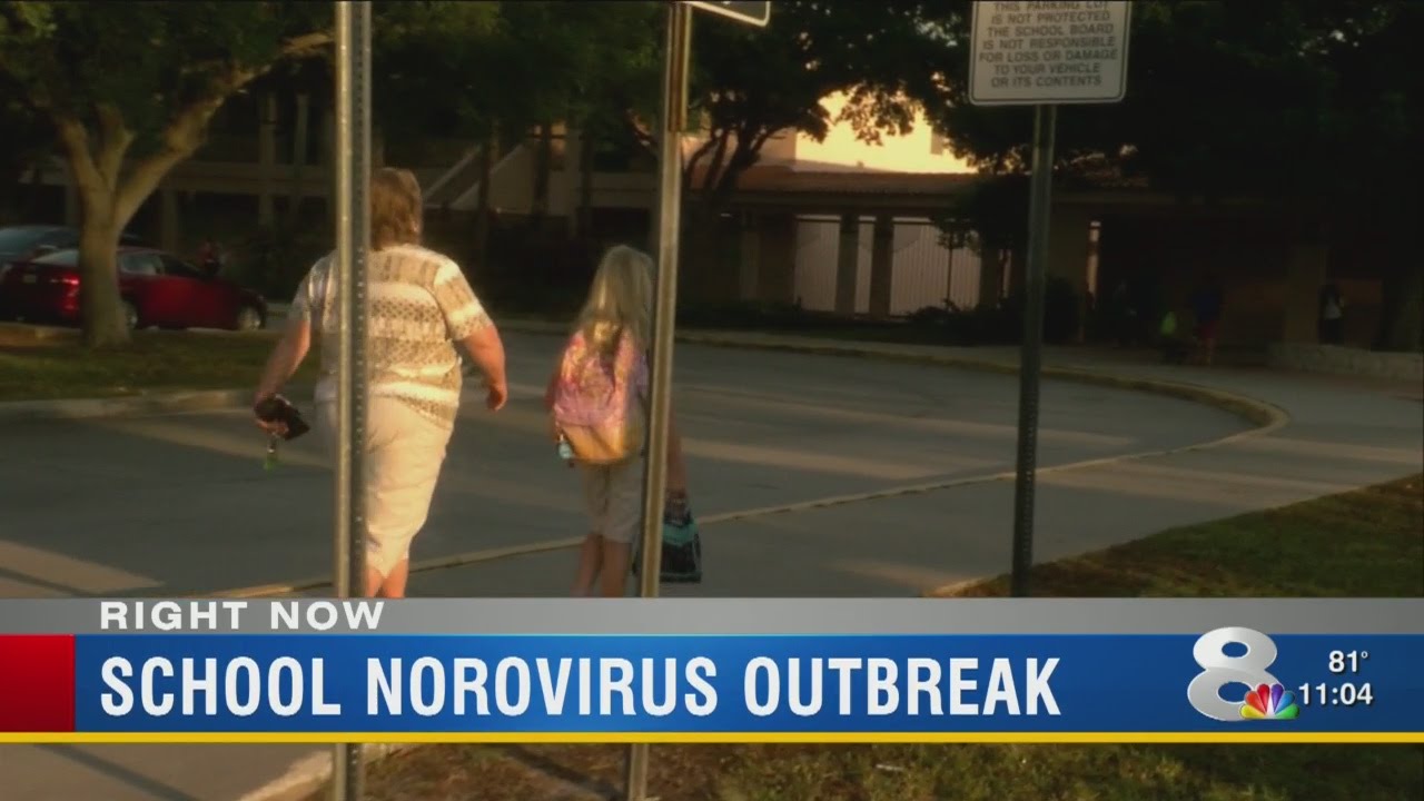 Cases of norovirus confirmed at Lowry Elementary School - YouTube