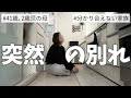 【家族断絶】後悔はありません。
