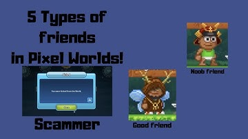 5 TYPES OF FRIENDS IN PIXEL WORLDS!