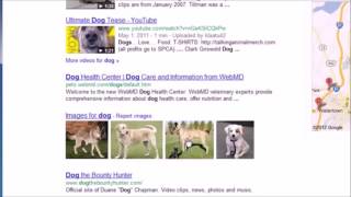25.  FULL TEXT SEARCHING