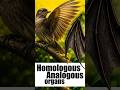 Homologous vs Analogous Organs 🤯 | Important RE-NEET Biology Question