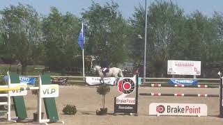 Irving Gold Groentejumping 135