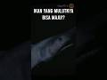 Ikan yang Sangat Tua dan Memiliki Tanduk? #ewinghd #shorts
