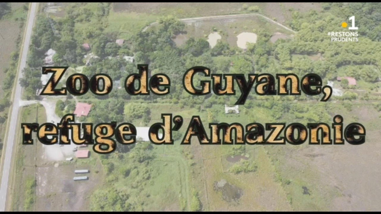 Wey Amazone : zoo de Guyane, refuge d'Amazonie