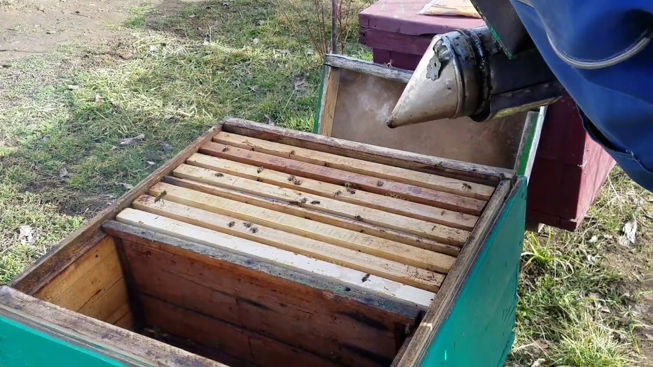 272.Continui cu revizia de primăvara.Turta Podișor.